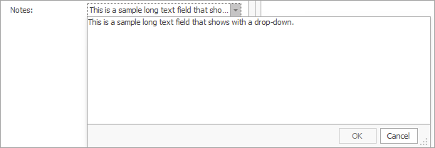 Long text field