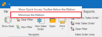 Command ribbon | ERP.net Windows Client